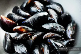 Moules d'Espagne, filet