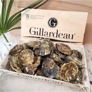 Huîtres Gillardeau n°3