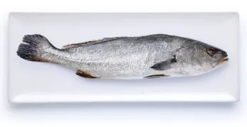 Maigre d'élevage (Corse) 3/4 kg