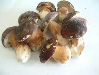 Cèpes entiers MARR