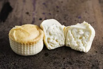 Burrata fumée