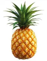 Ananas