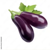 Aubergines noires et rondes violettes