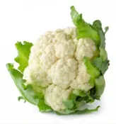 Chou-fleur blanc