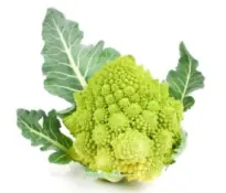 Chou romanesco
