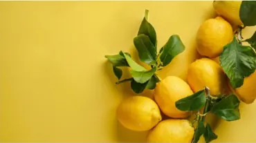 Citrons extra