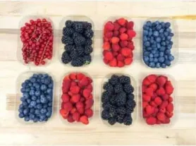Fruits rouges : framboises, myrtilles, mûres, groseilles