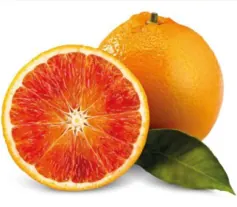 Oranges sanguines Tarocco