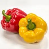Poivrons rouges et jaunes