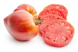 Tomates cœur de bœuf